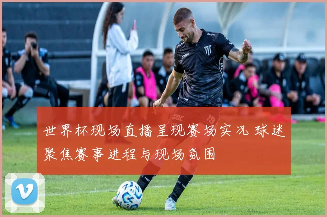 世界杯现场直播呈现赛场实况 球迷聚焦赛事进程与现场氛围